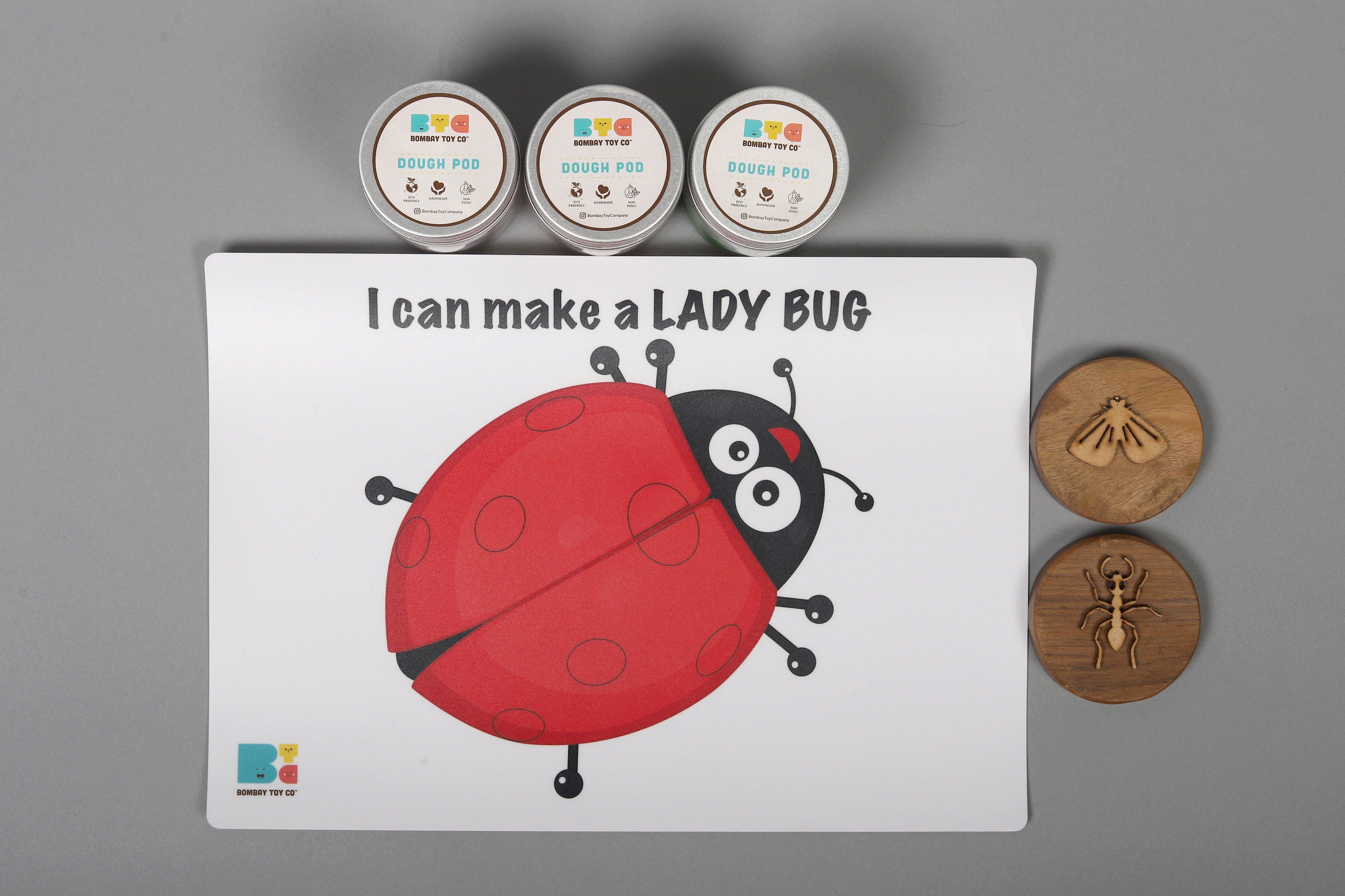 Play Dough Kit | I can make a Ladybug | Reusable - Bombay Toy Company