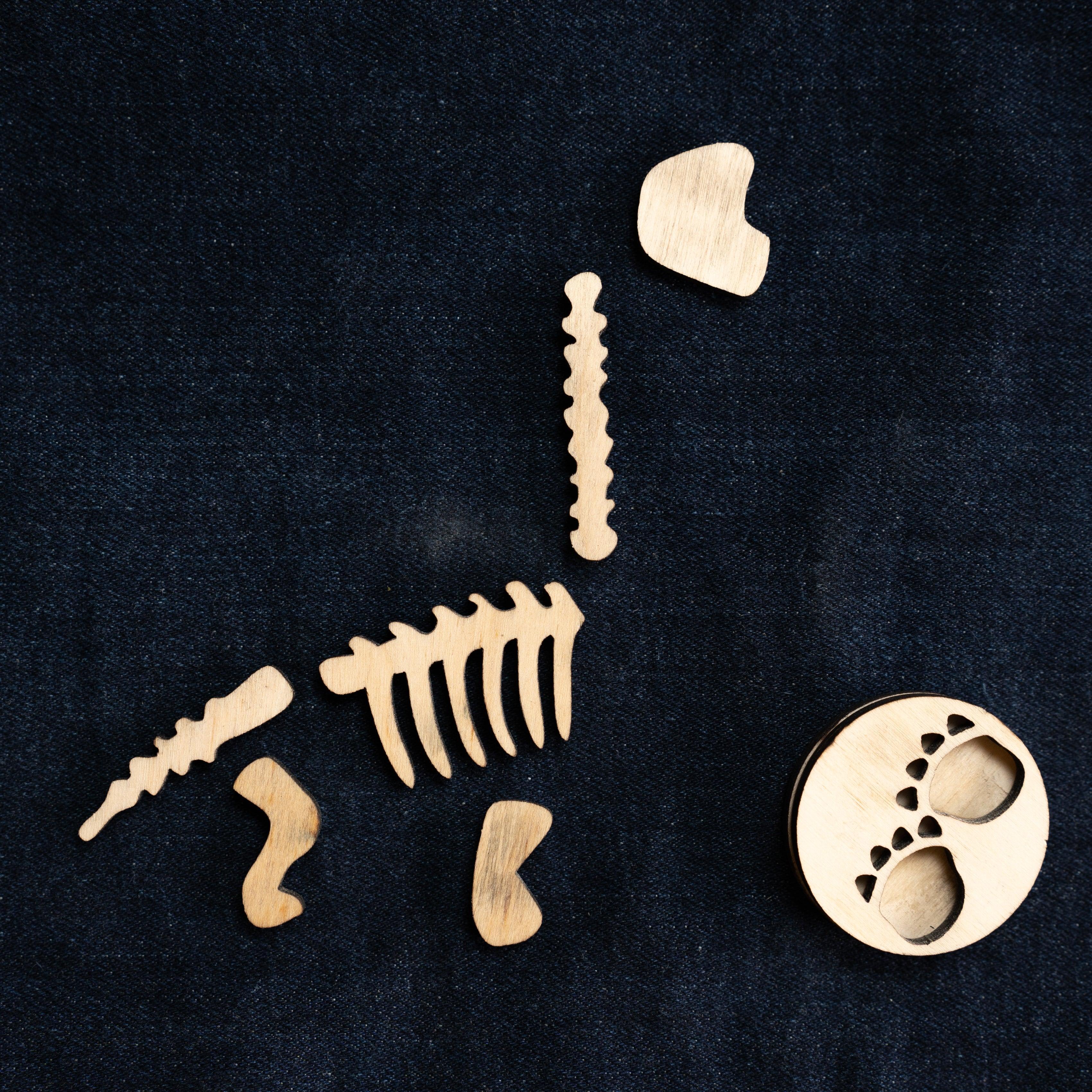 Montessori Puzzle Toy | Dinosaur Fossil Puzzle Toy | Set of 4 - Bombay Toy Company