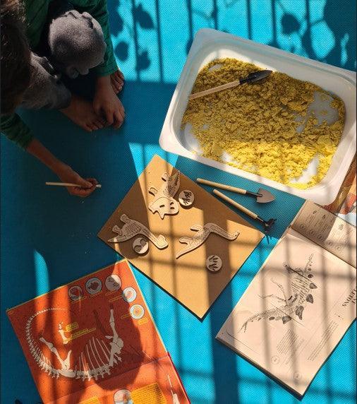 Montessori Puzzle Toy | Dinosaur Fossil Puzzle Toy | Set of 4 - Bombay Toy Company