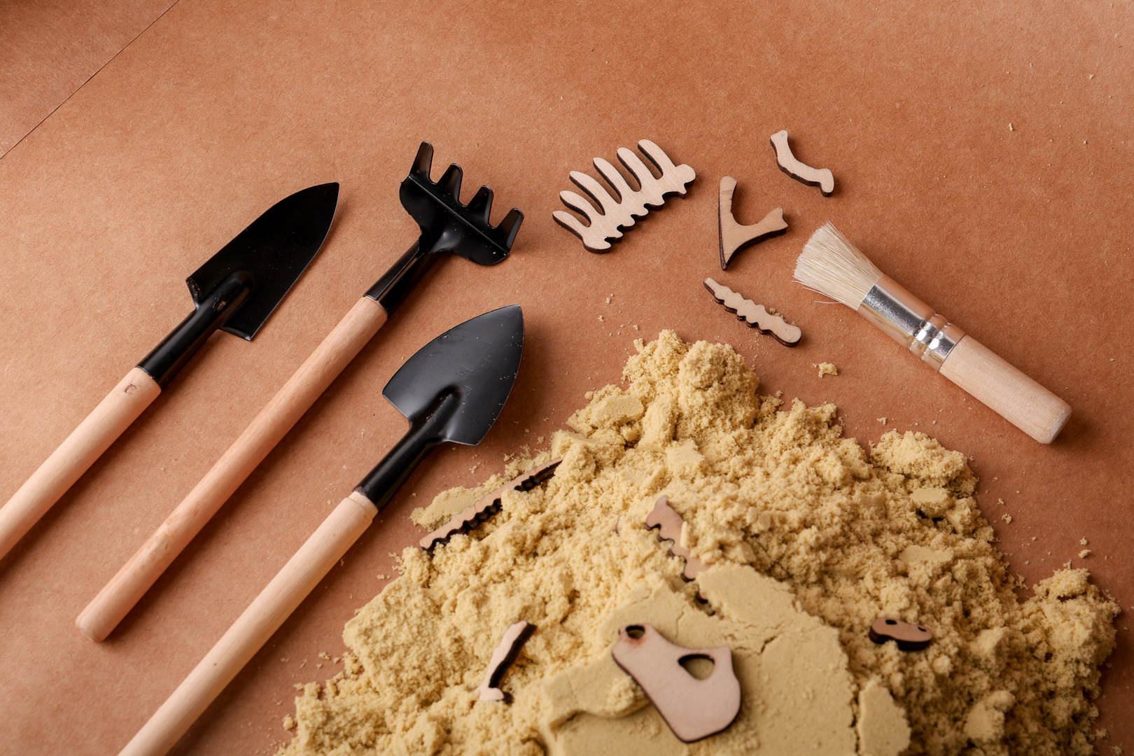 Montessori Puzzle Toy | Dinosaur Fossil Puzzle Toy | Set of 4