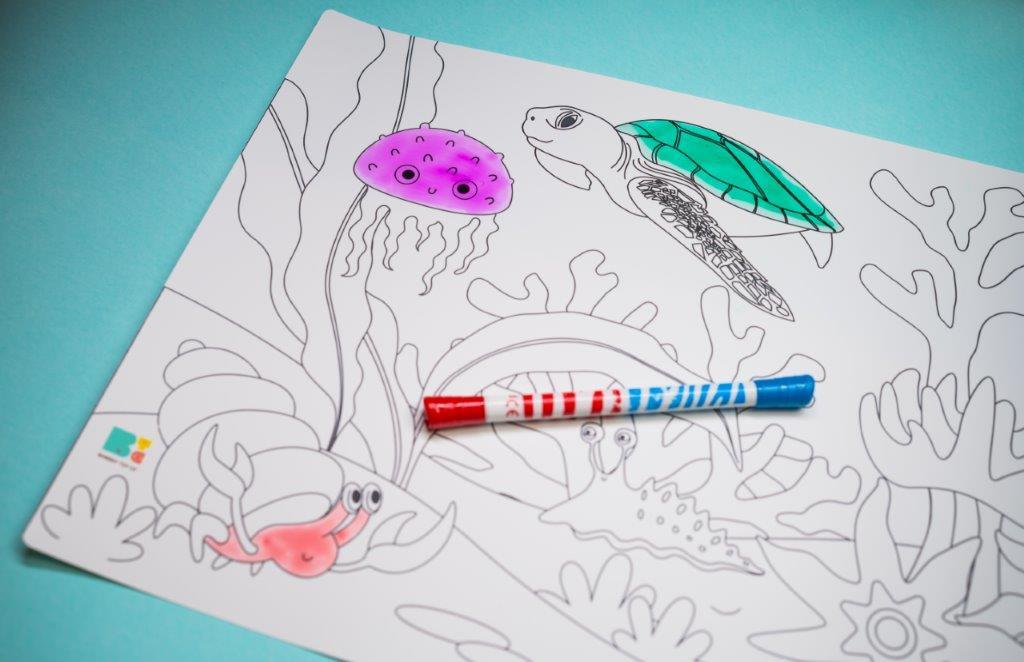 Reusable Colouring Mats