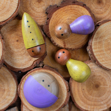 Wooden Bugs Toys | Set of 18
